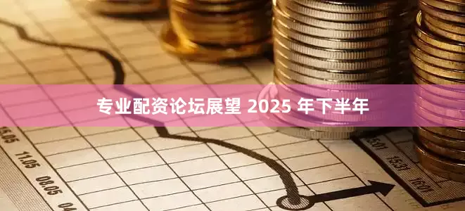 专业配资论坛展望 2025 年下半年