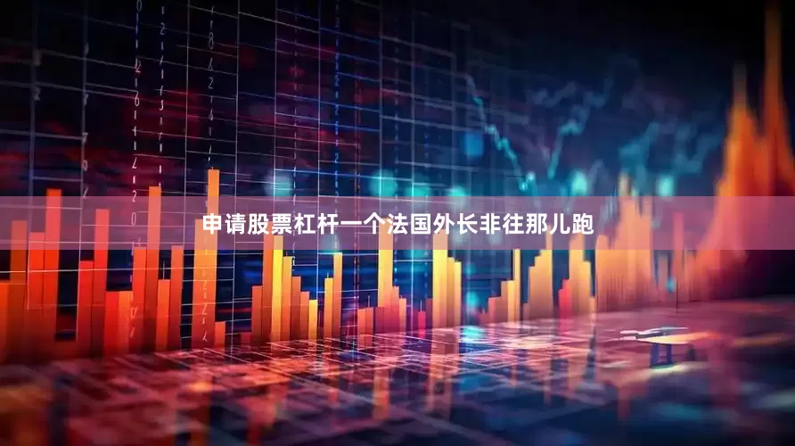 申请股票杠杆一个法国外长非往那儿跑