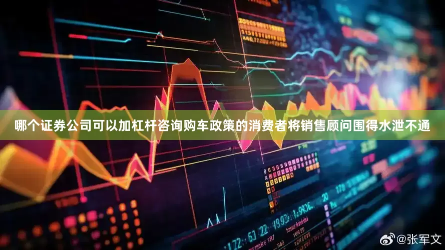 哪个证券公司可以加杠杆咨询购车政策的消费者将销售顾问围得水泄不通