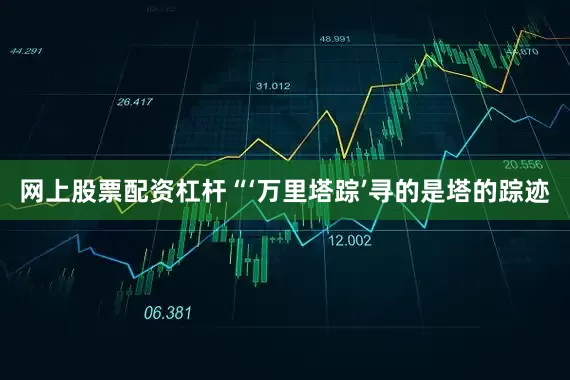 网上股票配资杠杆“‘万里塔踪’寻的是塔的踪迹