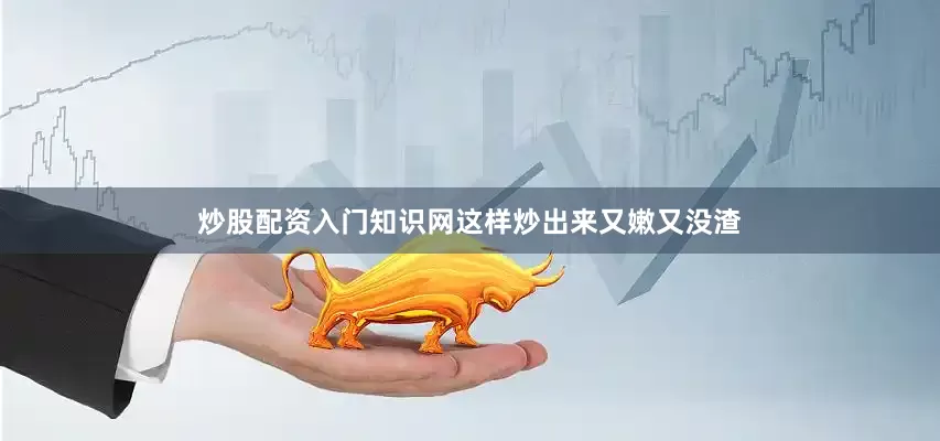 炒股配资入门知识网这样炒出来又嫩又没渣