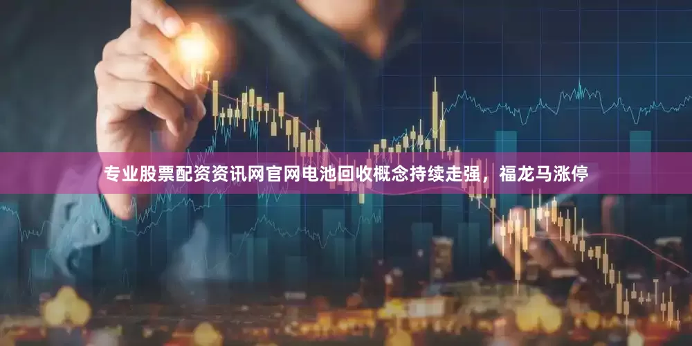 专业股票配资资讯网官网电池回收概念持续走强，福龙马涨停